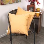 set-x-2-cojines-en-velvet-de-tamano-45-x-45-cms-2