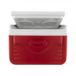 nevera-portatil-x4