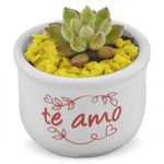 suculentas-pote-7-1