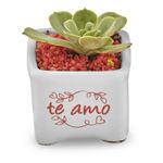 suculentas-pote-10-1