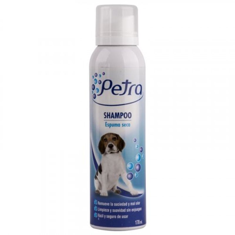 shampoo-espuma-seca-x170ml-2