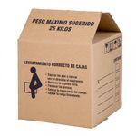 caja-carton-31-cm-x-31-cm-x-31-cm-4