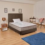 combo-sigma-pillow-100x190-mas-basecama-mas-espaldar-mas-una-almohada-mas-protector-2