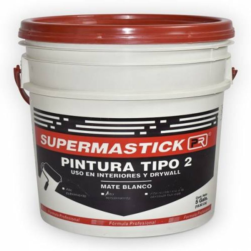 vinilo-tipo-2-5gl-mas-1~4-masilla-supermastick-1