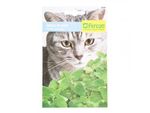 semilla-menta-para-gato-1