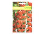 semilla-de-tomate-cherry-1