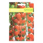 semilla-de-tomate-cherry-1