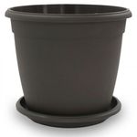 matera-genova-22cm-wengue-con-plato-19cm-1