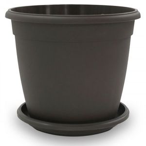 Matera Genova 22Cm Wengue Con Plato 19Cm