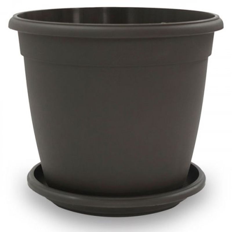 matera-genova-22cm-wengue-con-plato-19cm-1