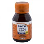 soldamax-2902799-cpvc-x1~64gal-2
