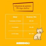 alimento-gatos-cachorros--minino-1-kg-4