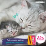 alimento-gatos-cachorros--minino-1-kg-5
