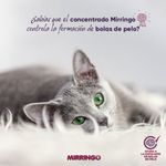 alimento-gatos-adultos--mirringo-1-kg-3