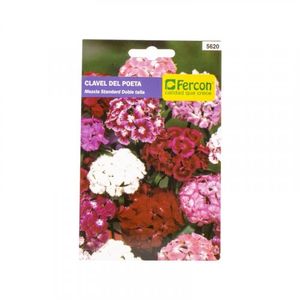 Semilla Flor Clavel del Poeta x0.6g