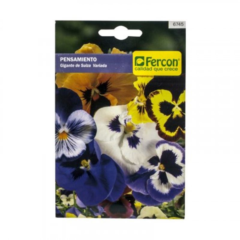 semilla-flor-pensamiento-x0