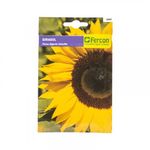 semilla-flor-girasol-x4g-1