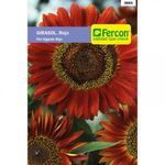 girasol-flor-gigante-roja------5865-1