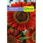 girasol-flor-gigante-roja------5865-2