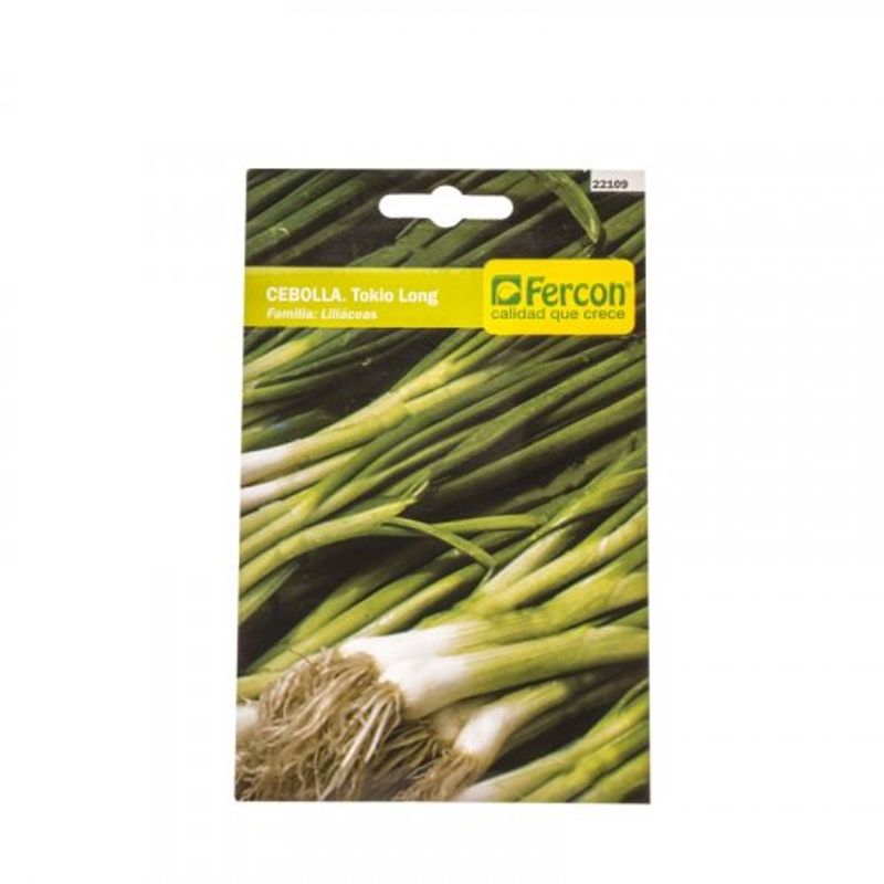 semilla-hortaliza-cebolla-tokio-larga-x2g-1