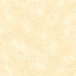 piso-gresporcelanico-evat--30x60-1