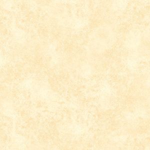 Piso gresporcelanico Evat 30x60 1.44M2