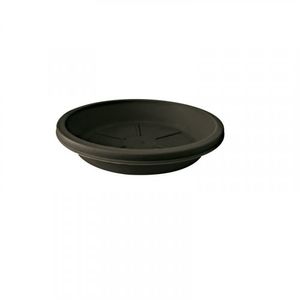 Plato 23 Cm Wengue