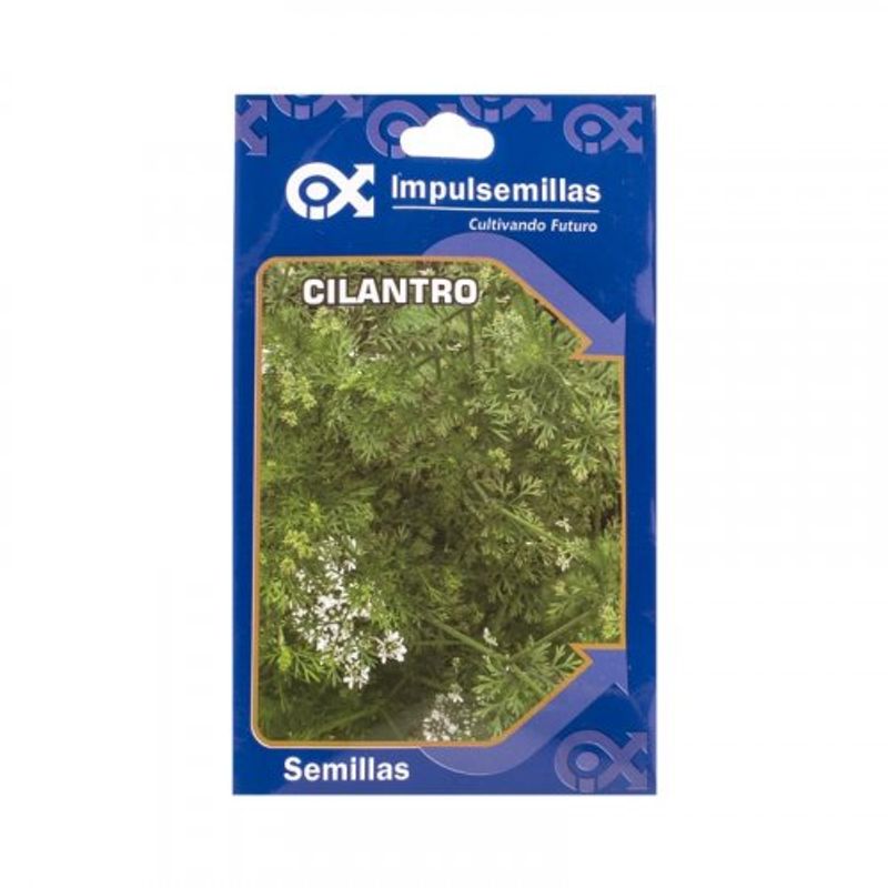 semilla-hortaliza-cilantro-hoja-fina-x5g-1