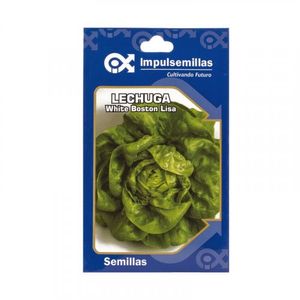 Semilla Hortaliza Lechuga Lisa x4g