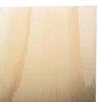 triplex-fenolico-12mm-122x244cm-1