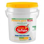 pintura-tejas-5gl-verde-oliva-1