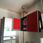 bisagra-recta-26mm-retail-2
