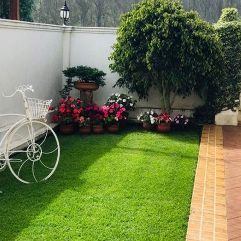 grama-paisajismo-garden-park-m2-~22-mm-3