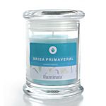 vela-vaso-grande-brisa-primaveral-1