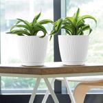 matera-sandy-p-11-cm-blanco-3
