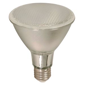 Bombillo Led exterior E27 10W 100-265V 3000K Ecomax