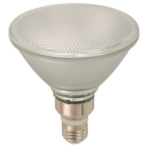 Bombillo Led exterior E27 15W 100-265V 6000K Ecomax