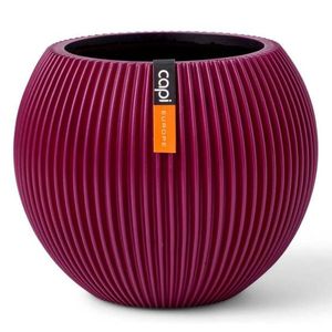 Matera Ball Groove morado 18cm Tumatera