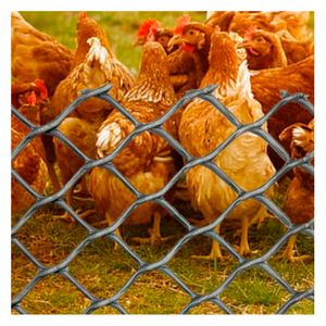 Malla plástica Pollito 2x30 m metalizada LaFerretteri