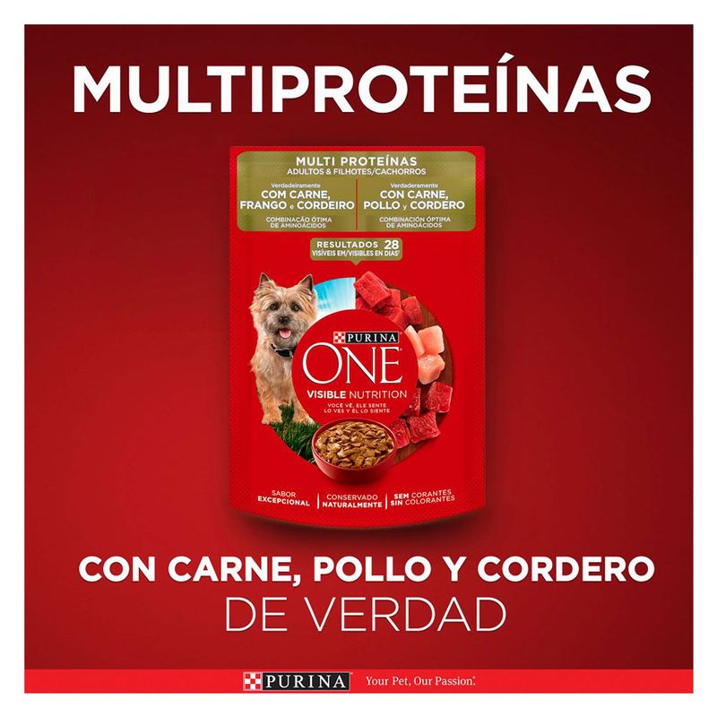 cencosud