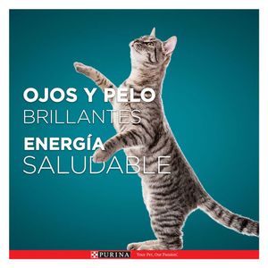 Alimento húmedo para gato adulto sabor salmón x85g Purina One