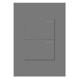 Interruptor doble Silver Luxury Mercury
