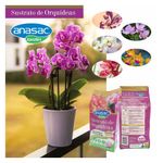 cencosud