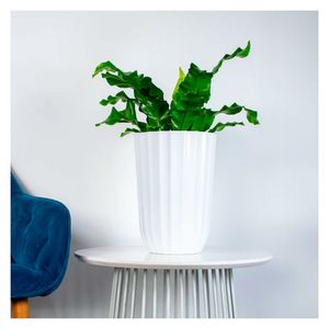 Macetero ecológico 21 cm blanco Beryl Tumatera