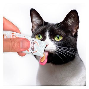 Snack para gatos smooth creamy mejillón x60g Gnawlers