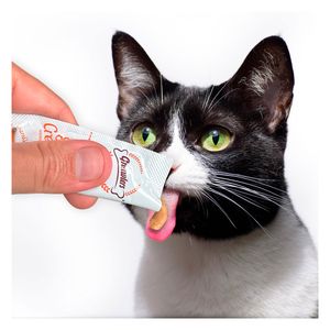 Snack para gatos smooth creamy pescado x60g Gnawlers