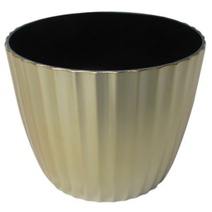 Matera plástico 16.5cm oro Líneas Marres