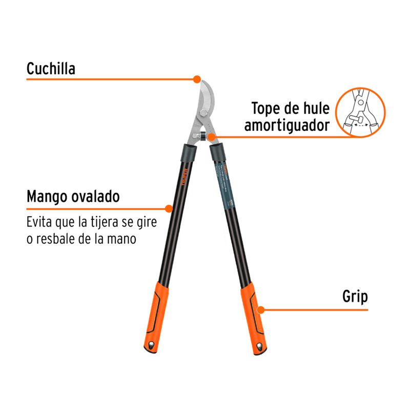 cencosud