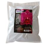 cencosud