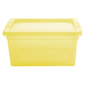 Caja organizadora plástico 2L lima Hacks&Racks